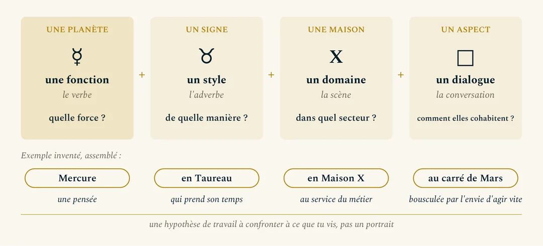Les quatre briques d'une lecture : une planète est une fonction (quelle force ?), un signe un style (de quelle manière ?), une maison un domaine (dans quel secteur ?), un aspect un dialogue (comment elles cohabitent ?). Exemple inventé : Mercure en Taureau en Maison X, au carré de Mars, soit une pensée qui prend son temps, au service du métier, bousculée par l'envie d'agir vite.