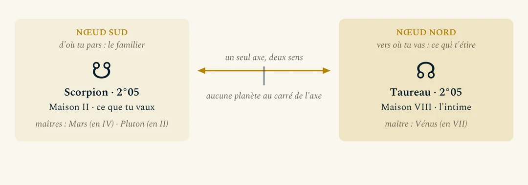 L'axe des Nœuds de Julie, personne fictive. À gauche, Nœud Sud, d'où l'on part : Scorpion 2°05, Maison II, maîtres Mars en Maison IV et Pluton en Maison II. À droite, Nœud Nord, vers où l'on va : Taureau 2°05, Maison VIII, maître Vénus en Maison VII. Entre les deux, une flèche à double sens : un seul axe, deux sens. Aucune planète au carré de l'axe.